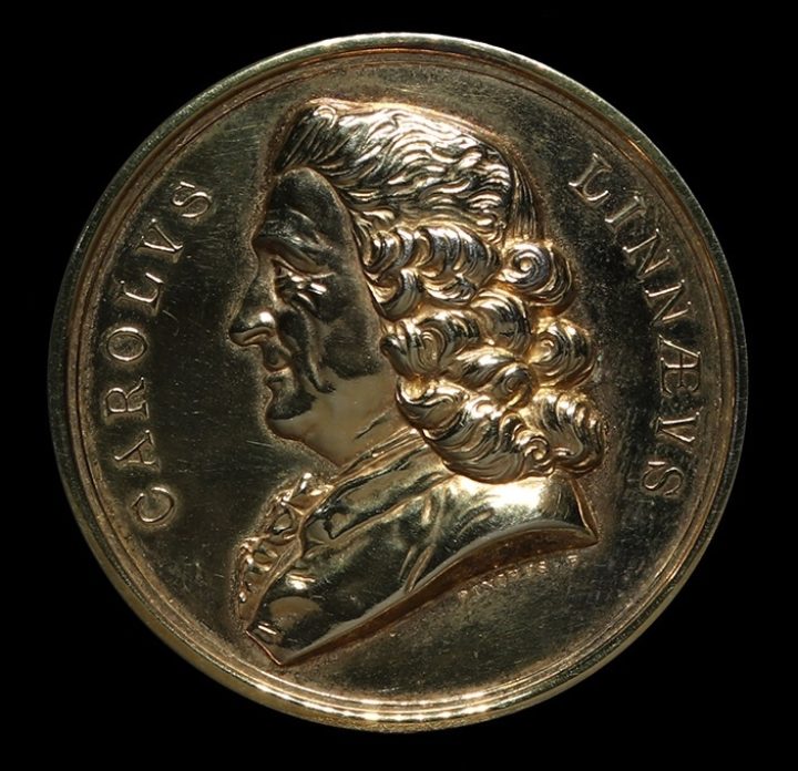 Lowe-McConnell Linnean Medal