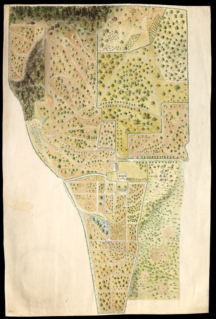 Map of St Vincent Botanic Garden that includes the workers' houses.
