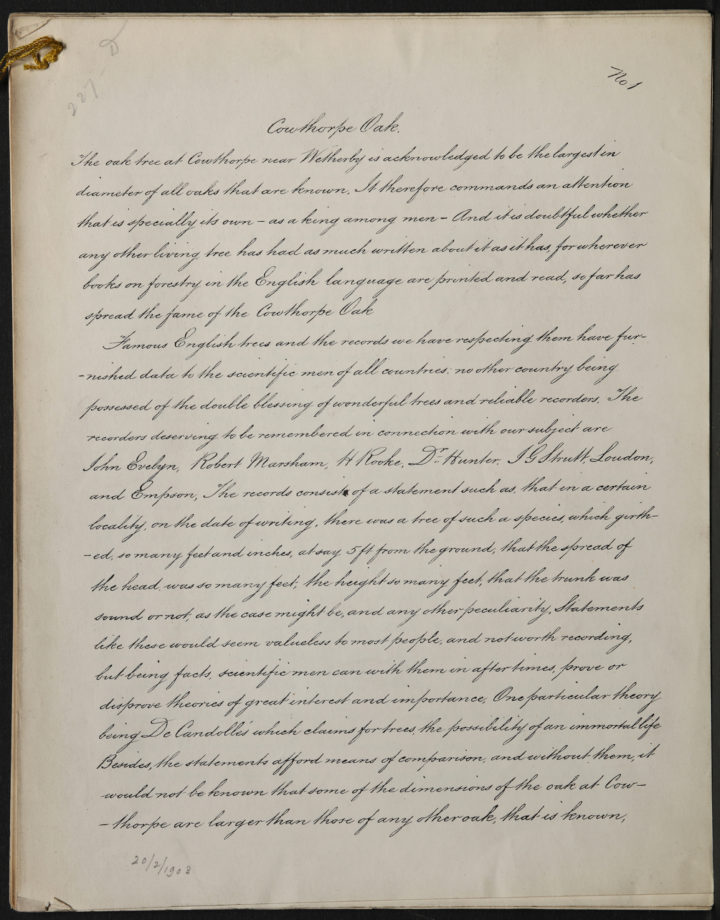 A photograph showing the first page of John Clayton's account of the Cowthorpe Oak.