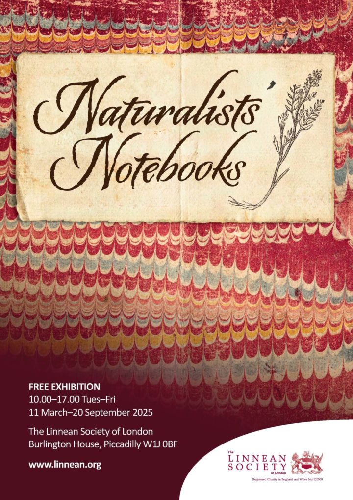 Exhibition poster showing the marbled red cover of an 18th century notebook