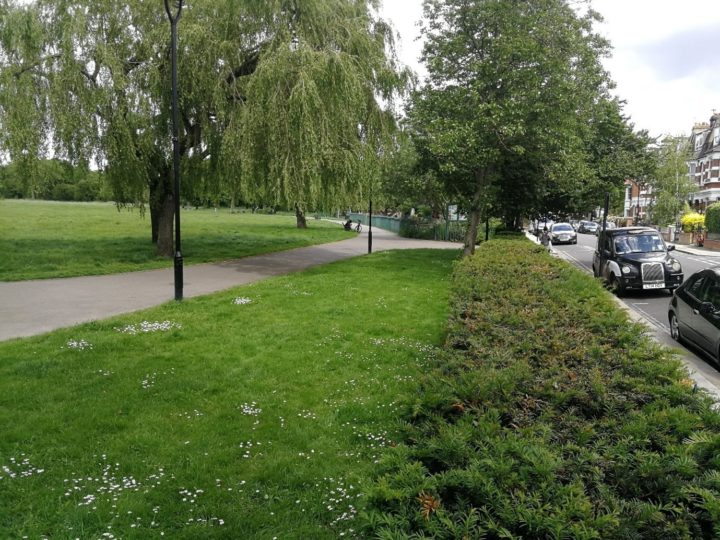 An urban roadside with shrubs trees and grass and parked cards on the right, and a pedestrian pathway on the left.
