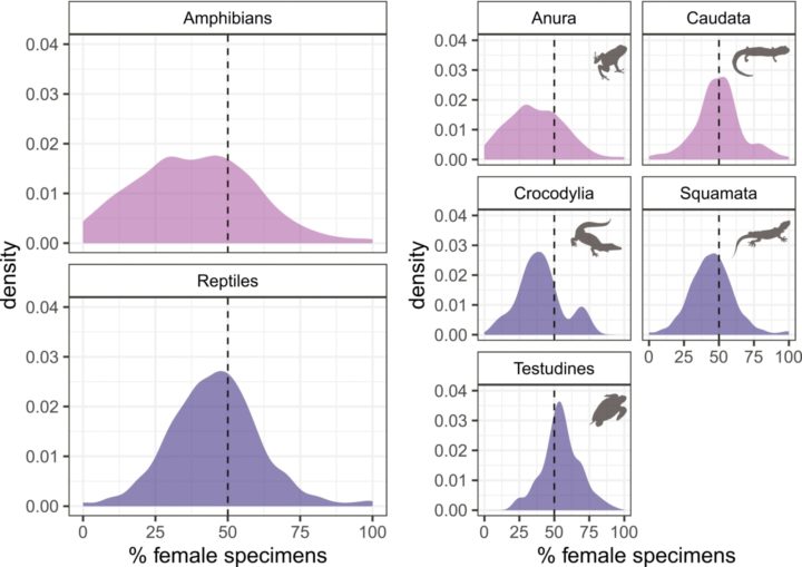 Density plots showing percentage of female specimens within herpetological records.