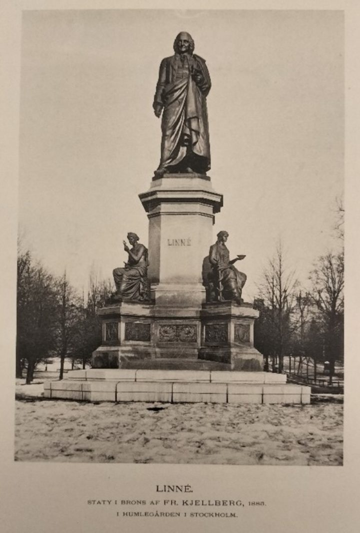 Sepia photographs of a statue of Carl Linnaeus in Stockholm