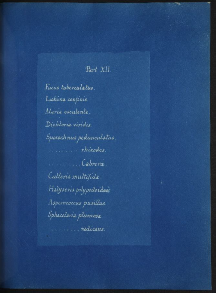 White book contents list on a blue background