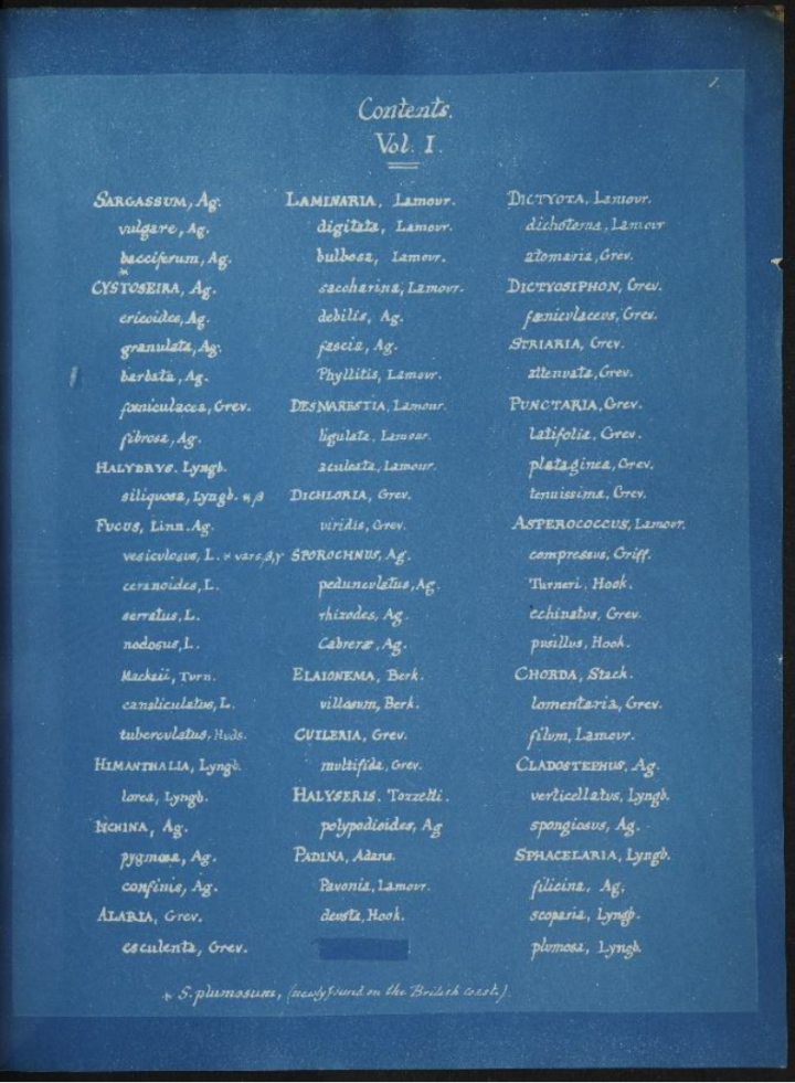 White book contents list on a blue background
