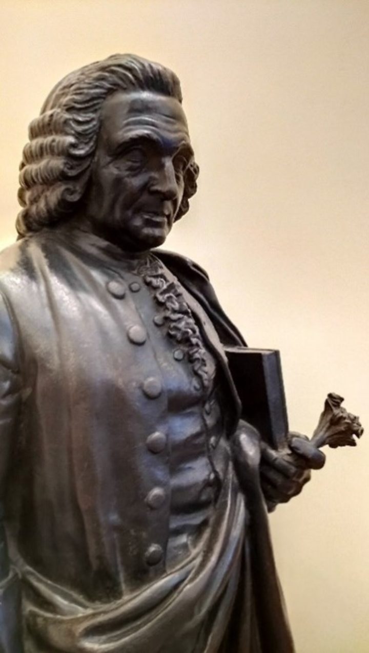 Close up of the Linnean Society statue of Carl Linnaeus shown from the chest, up.