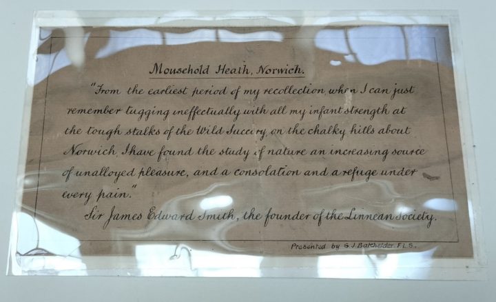 label covered in plastic