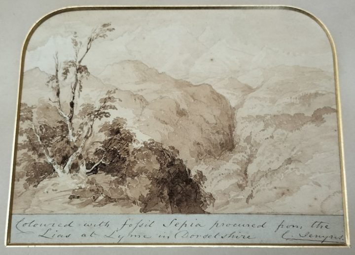Sepia drawing of mountainous landscape with bushes in the foreground and a path