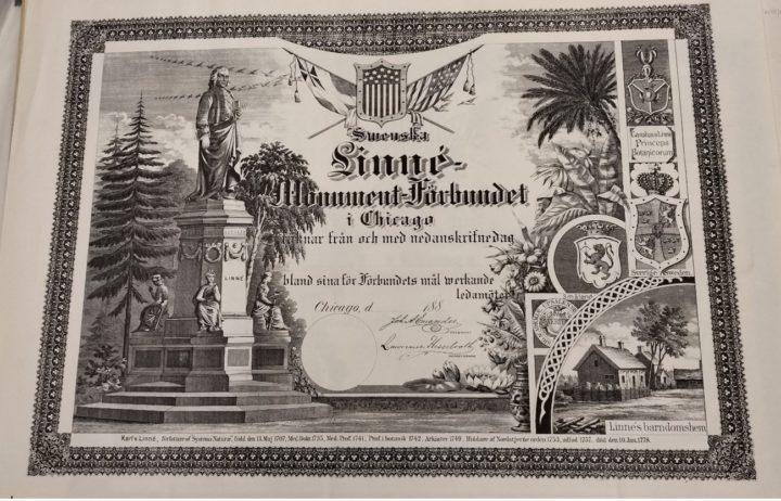 Black and white certificate showing a statue of Linnaeus