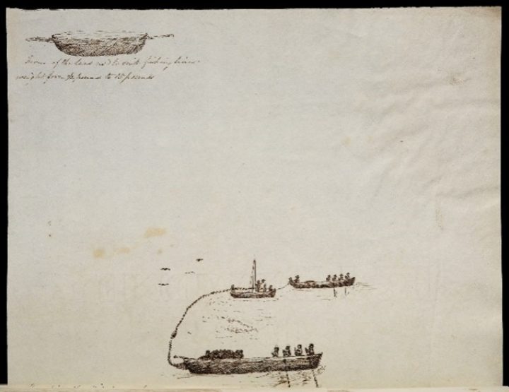 Pen drawings of fishing boats being rowed across the water