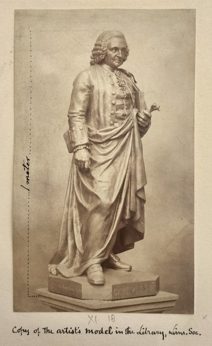 Sepia photograph of the Linnean Society statue of Linnaeus