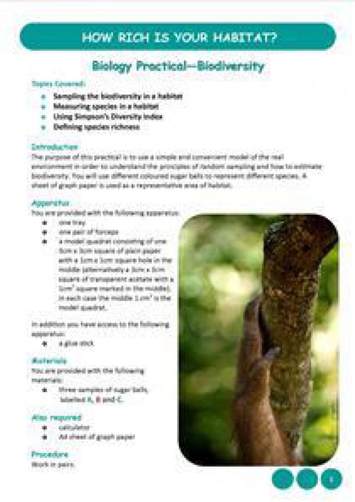 practical activities that can be classroom-based