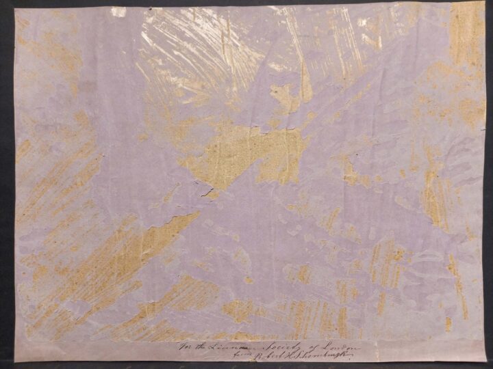Verso side of backing paper.