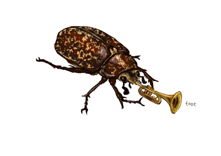 A life-like drawing of the scarab beetle is shown playing a tiny trumpet. Toot is written at the end of the trumpet.