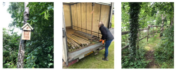 Three images. One of a birdhouse, one of a person removing logs from a truck, and one of a constructed wooden fence amongst woodland.
