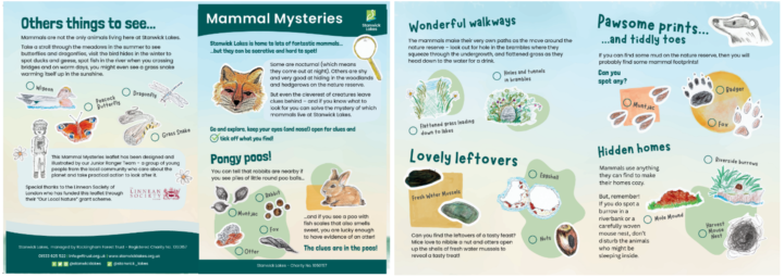Illustrated, colourful leaflet showing examples of prints, poos, and more signs of local mammals.