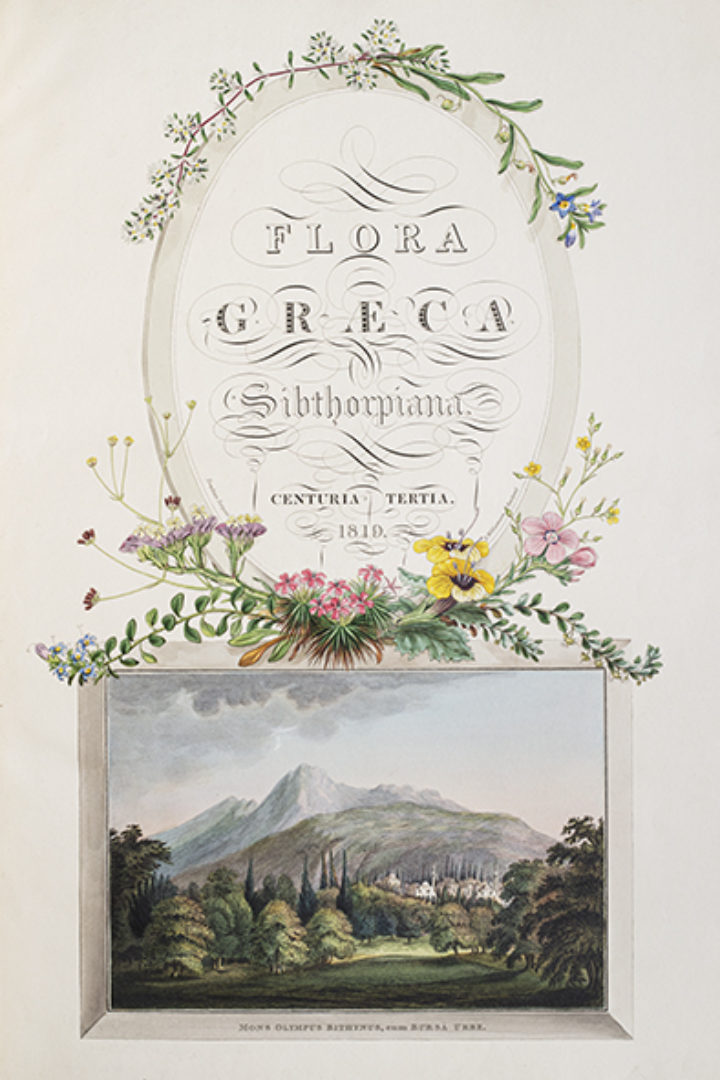 Title page of Volume 3 of Sibthorp's 'Flora Graeca'