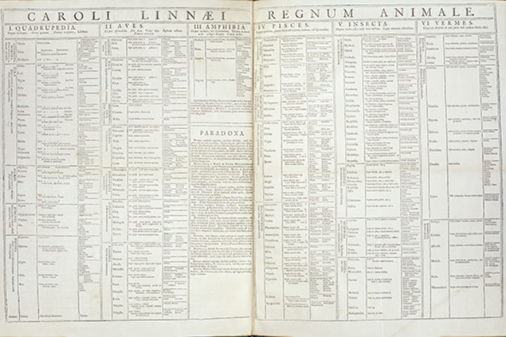 Regnum animale from Linnaeus, Systema naturae (1st edition)