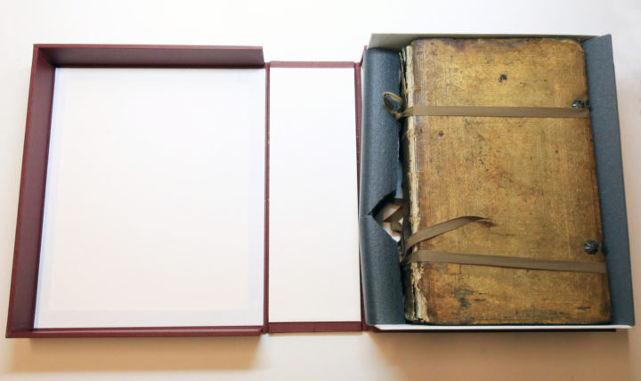 Neu vollkommen Krauter-Buch conserved