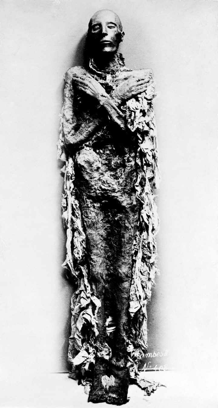 Ramses II - Wellcome