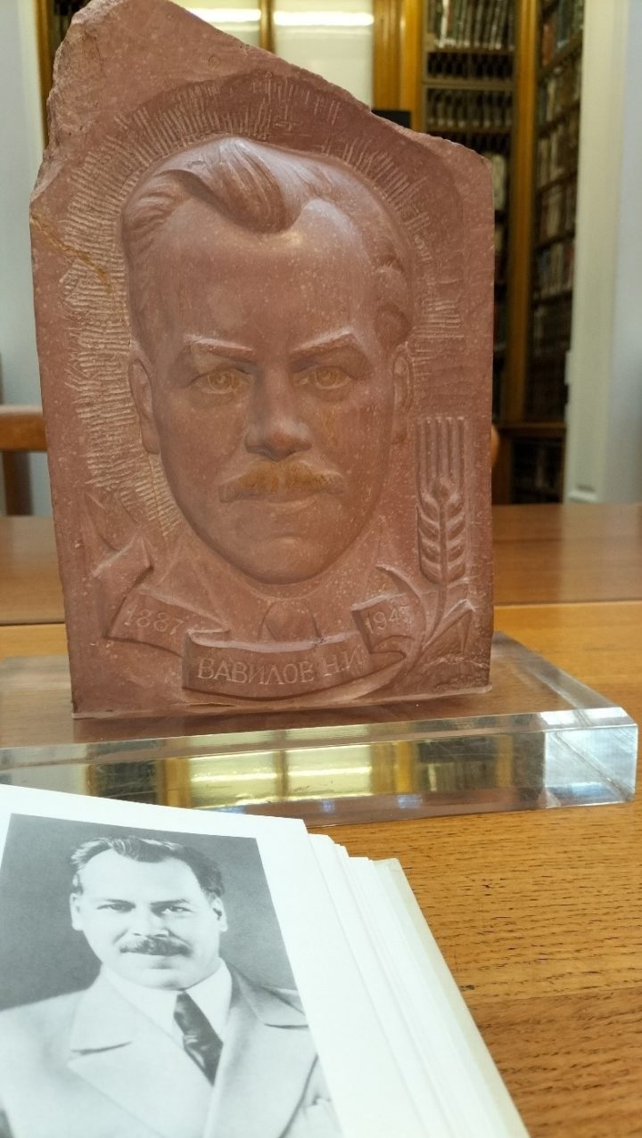 Sculpture of Vavilov