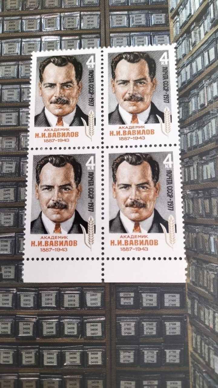 A set of Russian stamps issued in 1977 to mark what would have been the 90th birthday of Vavilov.