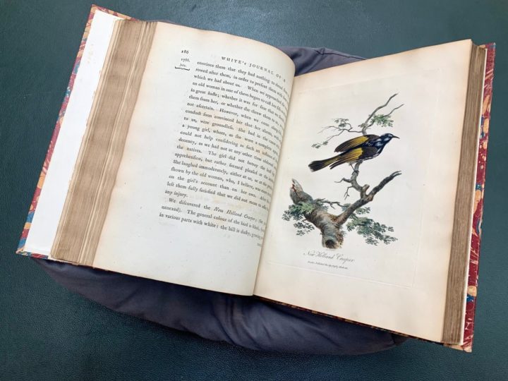 White's Journal, open