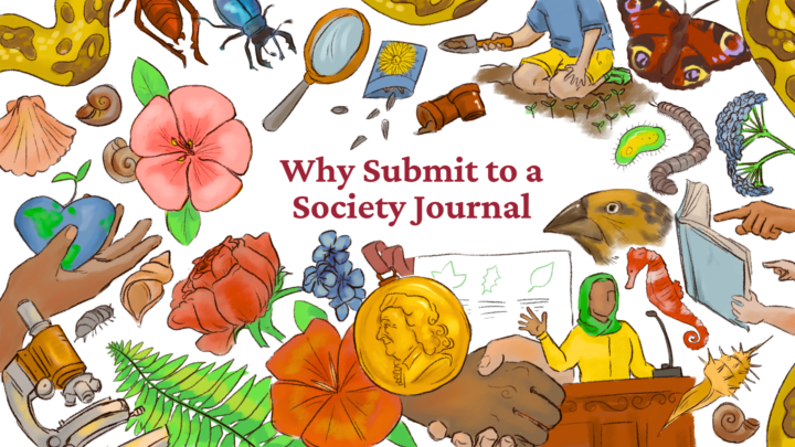 Hand drawn collage showing plants, insects, shells and people studying natural history and science.