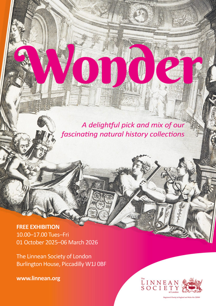 Poster for the exhibition Wonder, showing an 18th century image of a collection of curiosities
