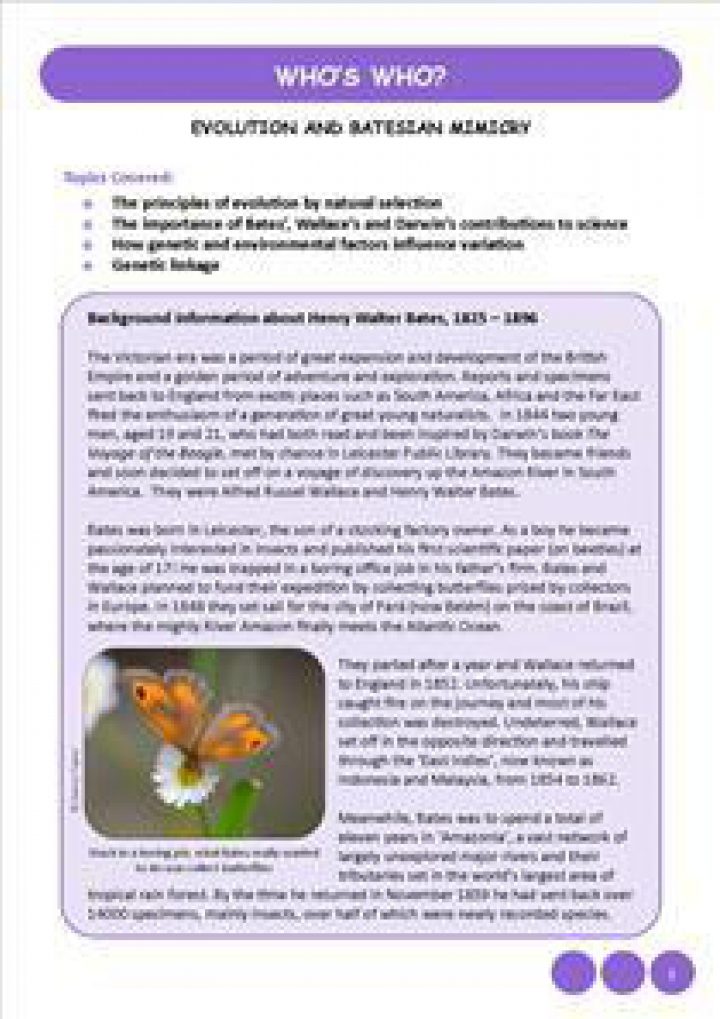 Worksheet 3 Whos Who