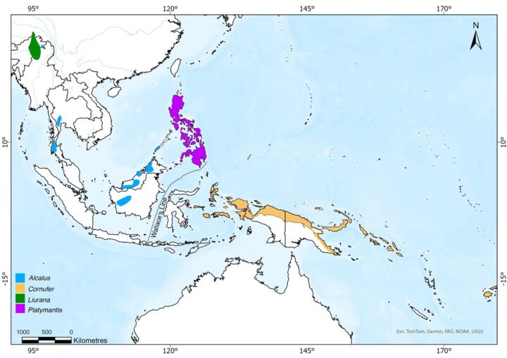 A coloured map of South East Asia, showing the distribution patterns of species of frog.