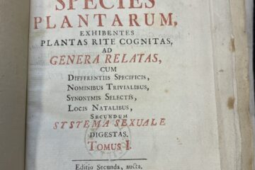 Linn Species Plantarum1762 BL86