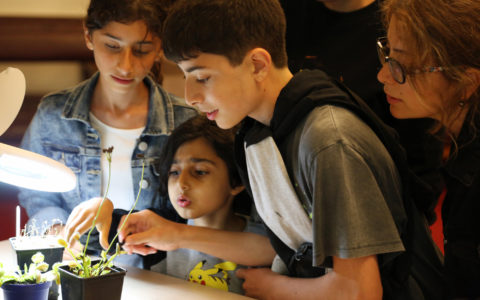 A new GCSE for a greener future