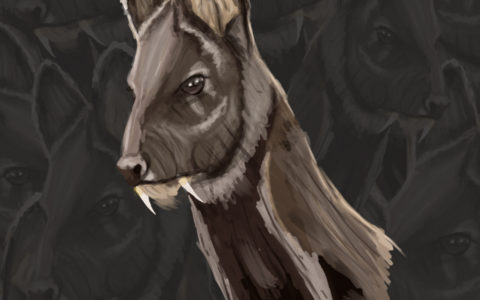 Discover More: Conservationists