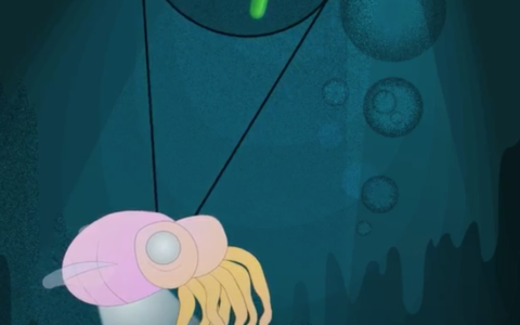 Discover More: Symbiosis