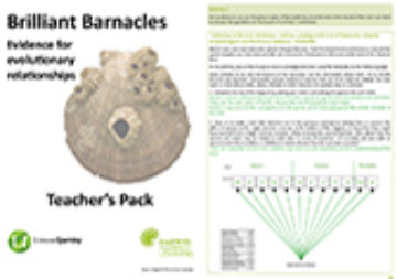 Teachers Pack