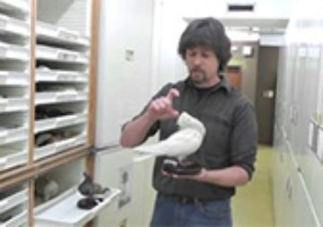 Darwin Inspired Scientists