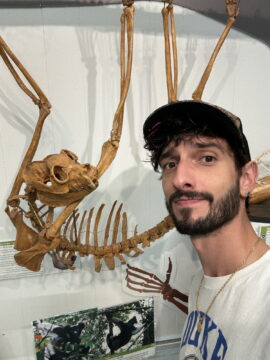 Guest Author: Grégoire Boulinguez-Ambroise