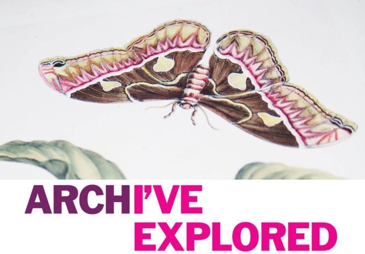Explore your Archive logo