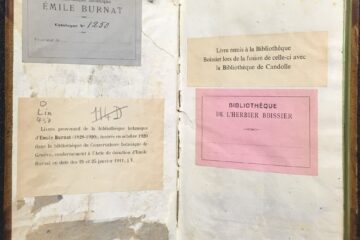 Geneva Philoso Bot Labels