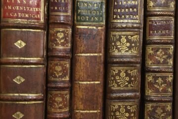 Geneva Philoso Bot shelf