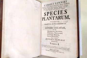 1st ed cover