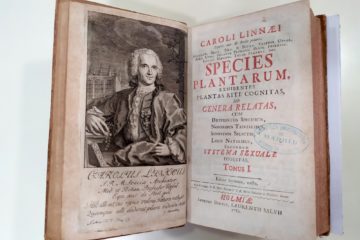 2nd ed portrait