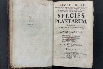 NHM Sp Pl 1753 3