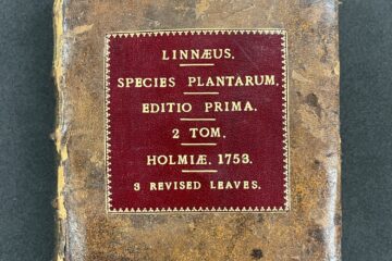 NHM Sp Pl 1753 4