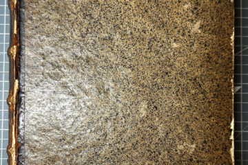 6 Before conservation Web