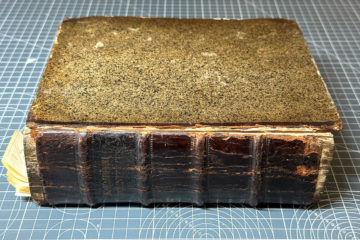 7 Before conservation Web