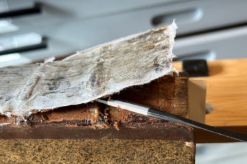 9 Removing old spine Web