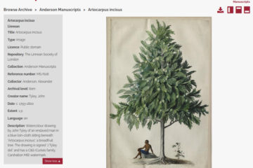 Anderson Manuscripts