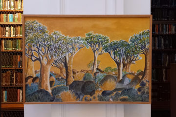 Cloudsley Quiver Tree Forest